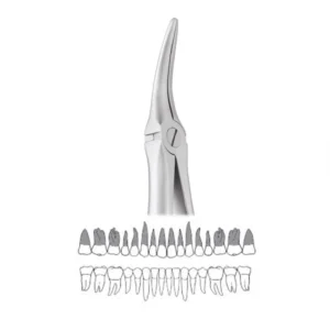 GDC Extraction Upper Roots Forceps - 149.11 Secure (SFX149.11)