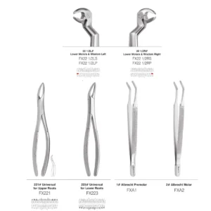 GDC Extraction Forceps Special Wisdom Routrier