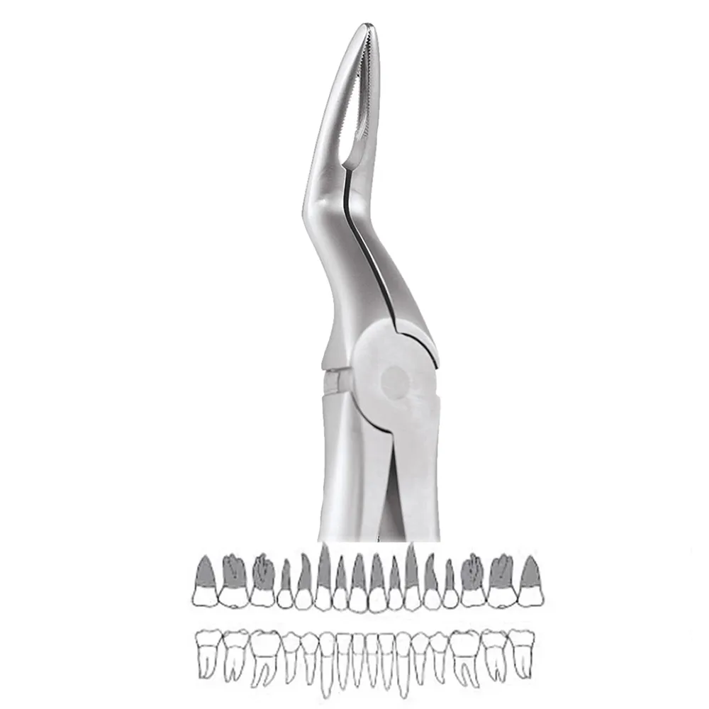 GDC Extraction Upper Roots Forceps - 897.00 Secure (SFX897.00)