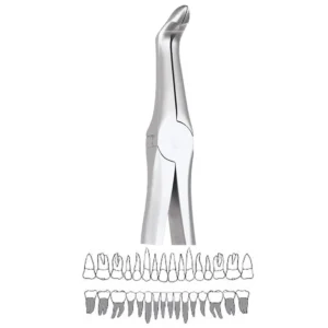 GDC Extraction Lower Roots Forceps- 945.00 Secure (SFX945.00)