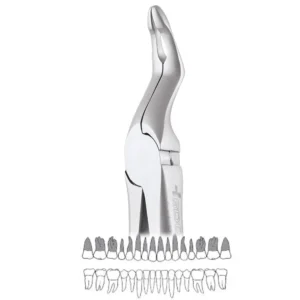 GDC Extraction Upper Roots Forceps - 951.00 Secure (Sfx951.00)