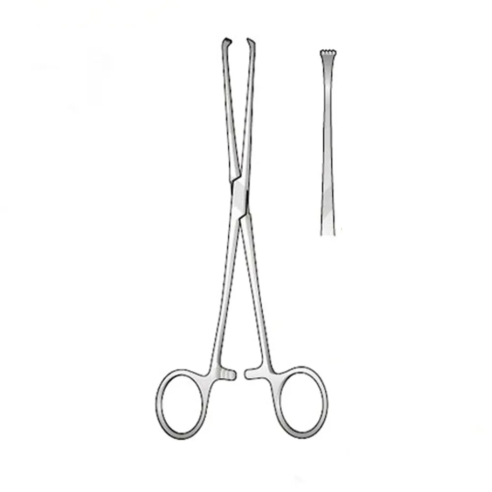 GDC Allis Forceps Baby-4x5 (12.5cm) (TFB)