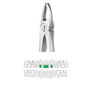 GDC Extraction Forceps Upper Anteriors - 1 Standard (FX1S)