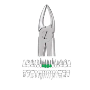 GDC Extraction Forceps Upper Roots Narrow - 29n Premium (Fx29np)