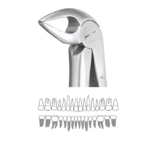 GDC Extraction Forceps Lower Roots - 33A Standard (FX33AS)