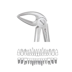 The GDC Extraction Forceps Lower Roots - 33L Standard (FX33LS) is a trusted dental tool engineered for the extraction of lower root fragments. These forceps lower roots are crafted from premium stainless steel, ensuring excellent durability, corrosion resistance, and compatibility with sterilization processes. The specially contoured beak fits securely around lower roots for a firm grip, while the standard handle offers comfortable and controlled use. These forceps lower roots are perfect for general dentists and oral surgeons performing routine root extractions.