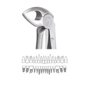 GDC Extraction Forceps Lower Roots - 33 Premium (FX33P)