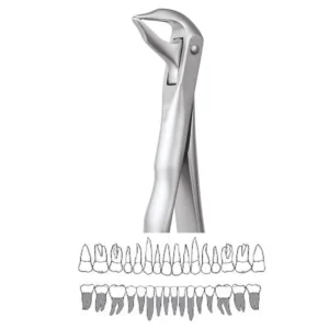 GDC Extraction Lower Roots Forceps - 959.01 Secure (SFX959.01)