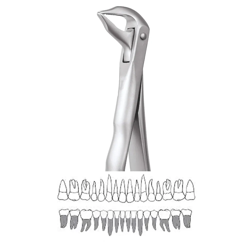 GDC Extraction Lower Roots Forceps - 959.01 Secure (SFX959.01)
